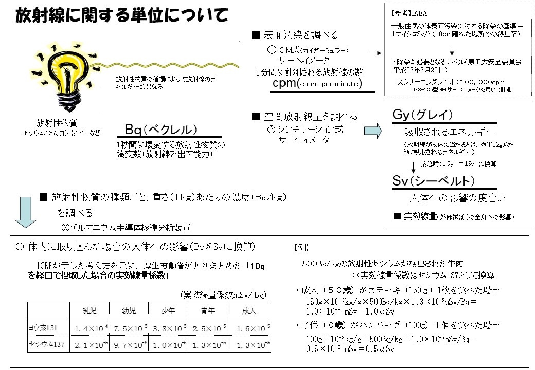 放射線(γ線)線量計 パラモス 【サイズ交換ＯＫ】 htckl.water.gov.my